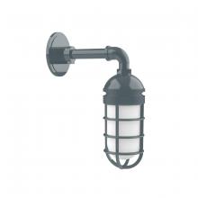 Montclair Light Works GNM050-40 - Vaportite, no shade, single wall mount with clear glass and cast guard, Slate Gray